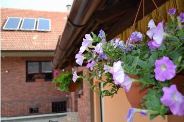 Cehia Penzión Velké Němčice, Exteriorul